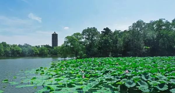 412DFEA61BDA2E429E9774B5702_17487B67_9F16