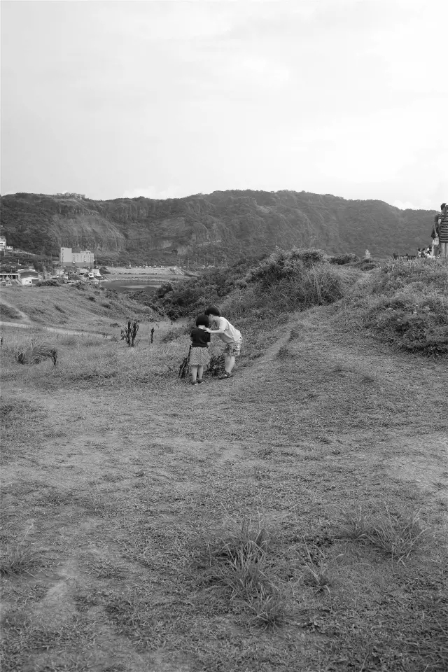 首页-NG视讯厅真人官方网站