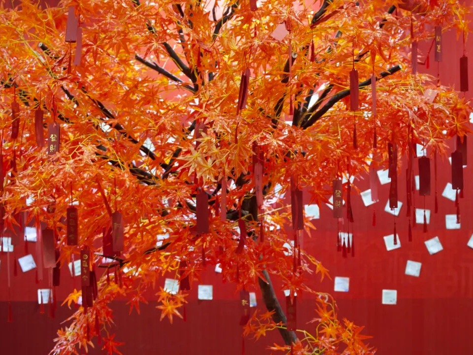 首页-NG视讯厅真人官方网站