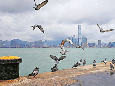 首页-NG视讯厅真人官方网站