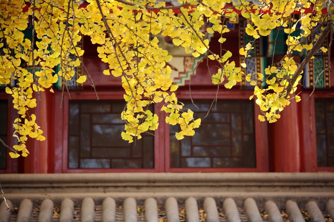 感动 | 确认过眼神，你是对的人