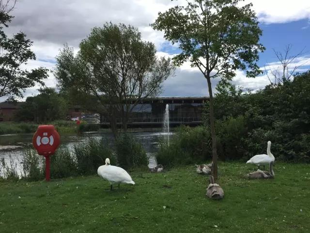 首页-NG视讯厅真人官方网站