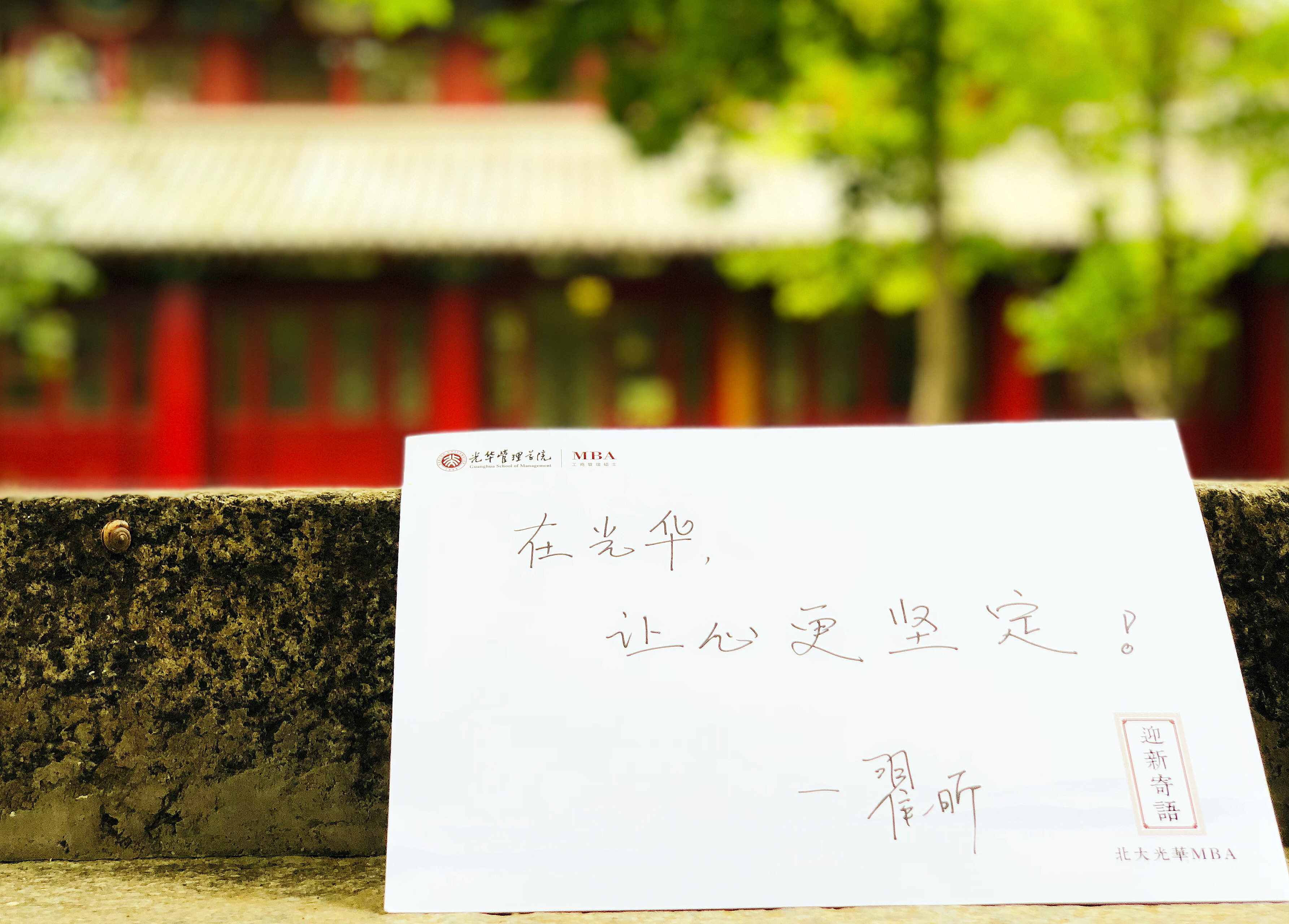 C4266326D64EDD6D07E5EC0DDA3_E0C82A4D_154A27.jpg?e=