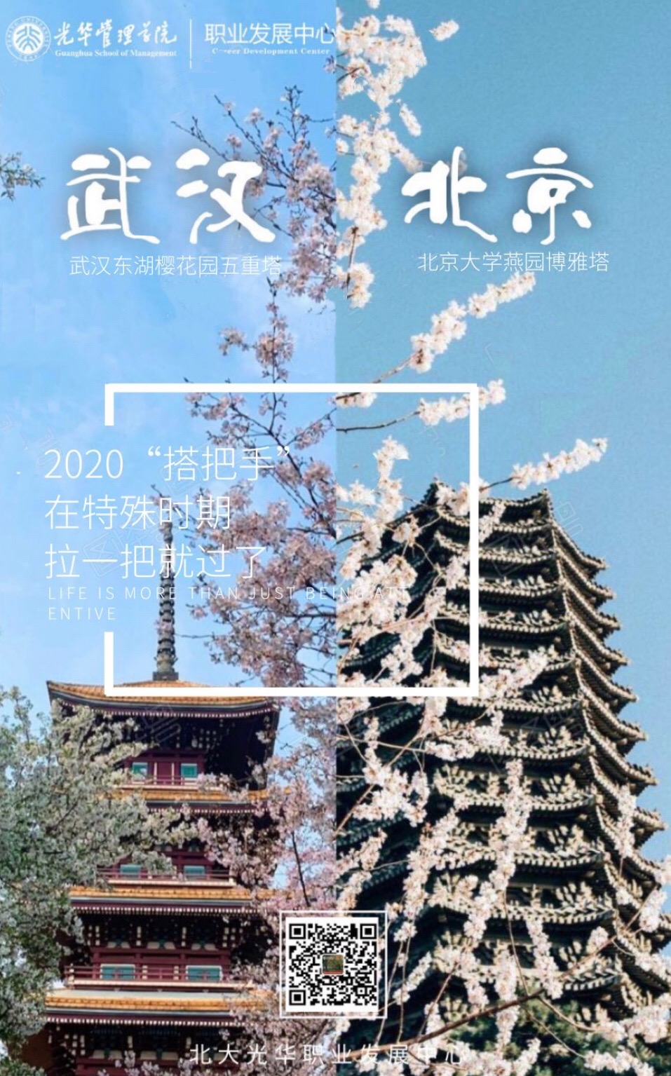 B4688036368C7323DD45D0D8A98_422A8B99_67151