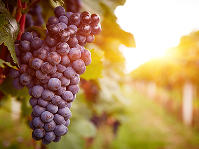 首页-NG视讯厅真人官方网站