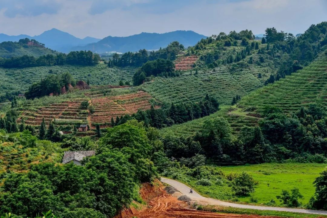 ��ҳ-NG��Ѷ�����˹ٷ���վ