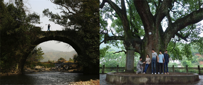 首页-NG视讯厅真人官方网站