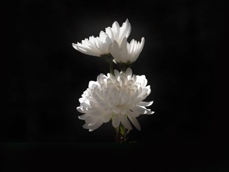 首页-NG视讯厅真人官方网站