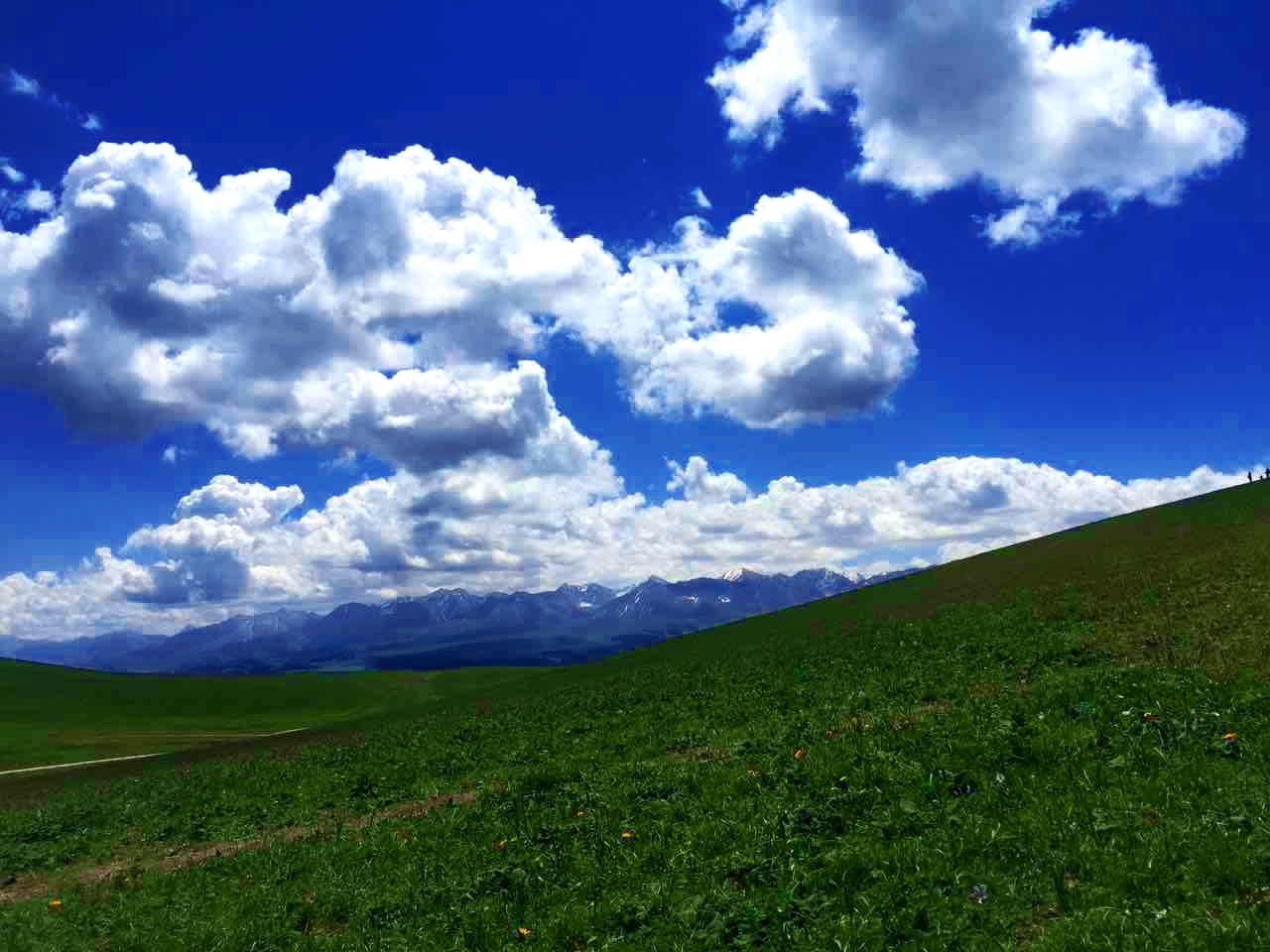 首页-NG视讯厅真人官方网站