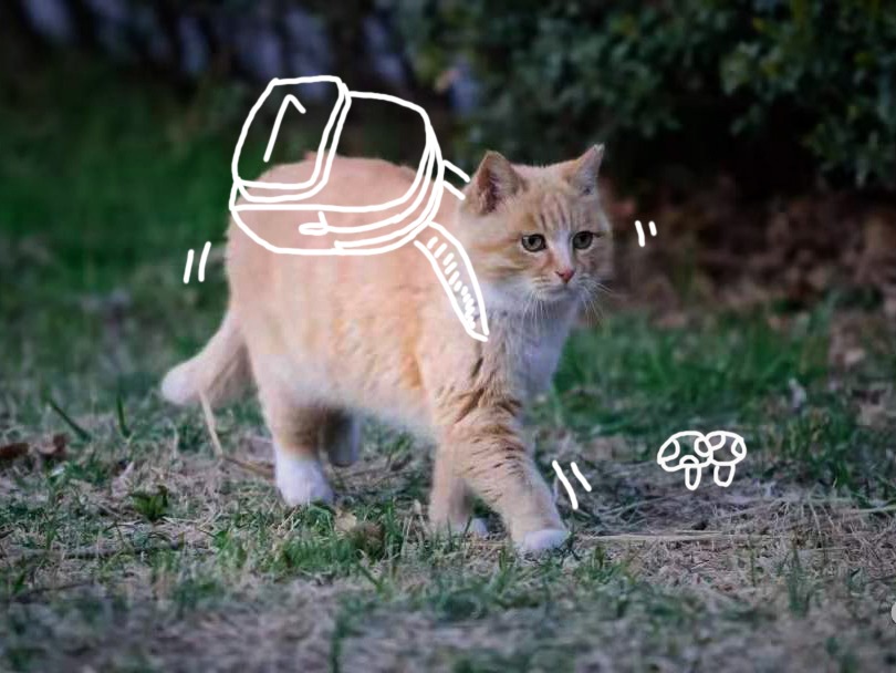 首页-NG视讯厅真人官方网站