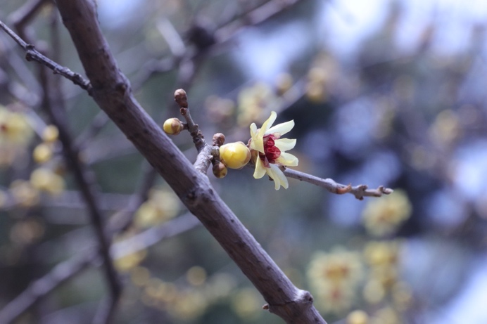 首页-NG视讯厅真人官方网站