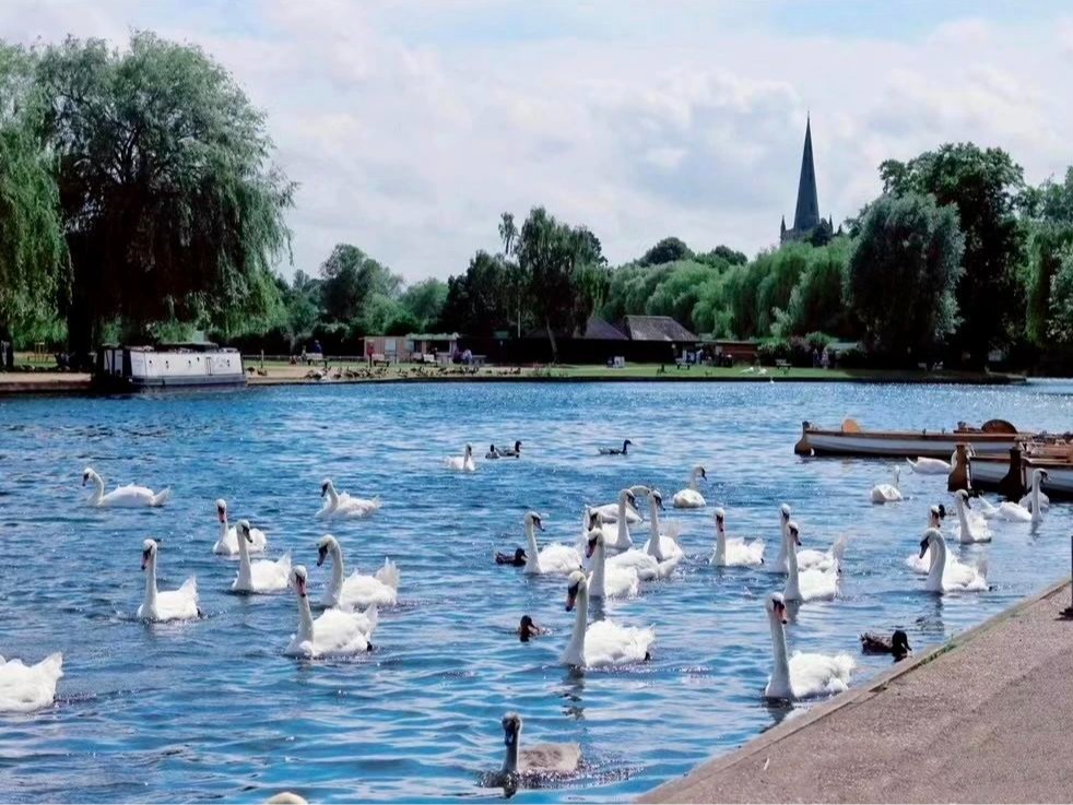 从莎翁文学浅析治理辅导艺术丨MBA国际商务方略@英国华威大学