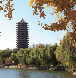 首页-NG视讯厅真人官方网站