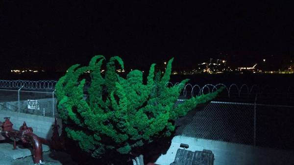 首页-NG视讯厅真人官方网站