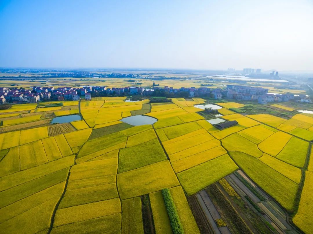 首页-NG视讯厅真人官方网站