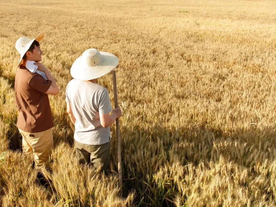 首页-NG视讯厅真人官方网站