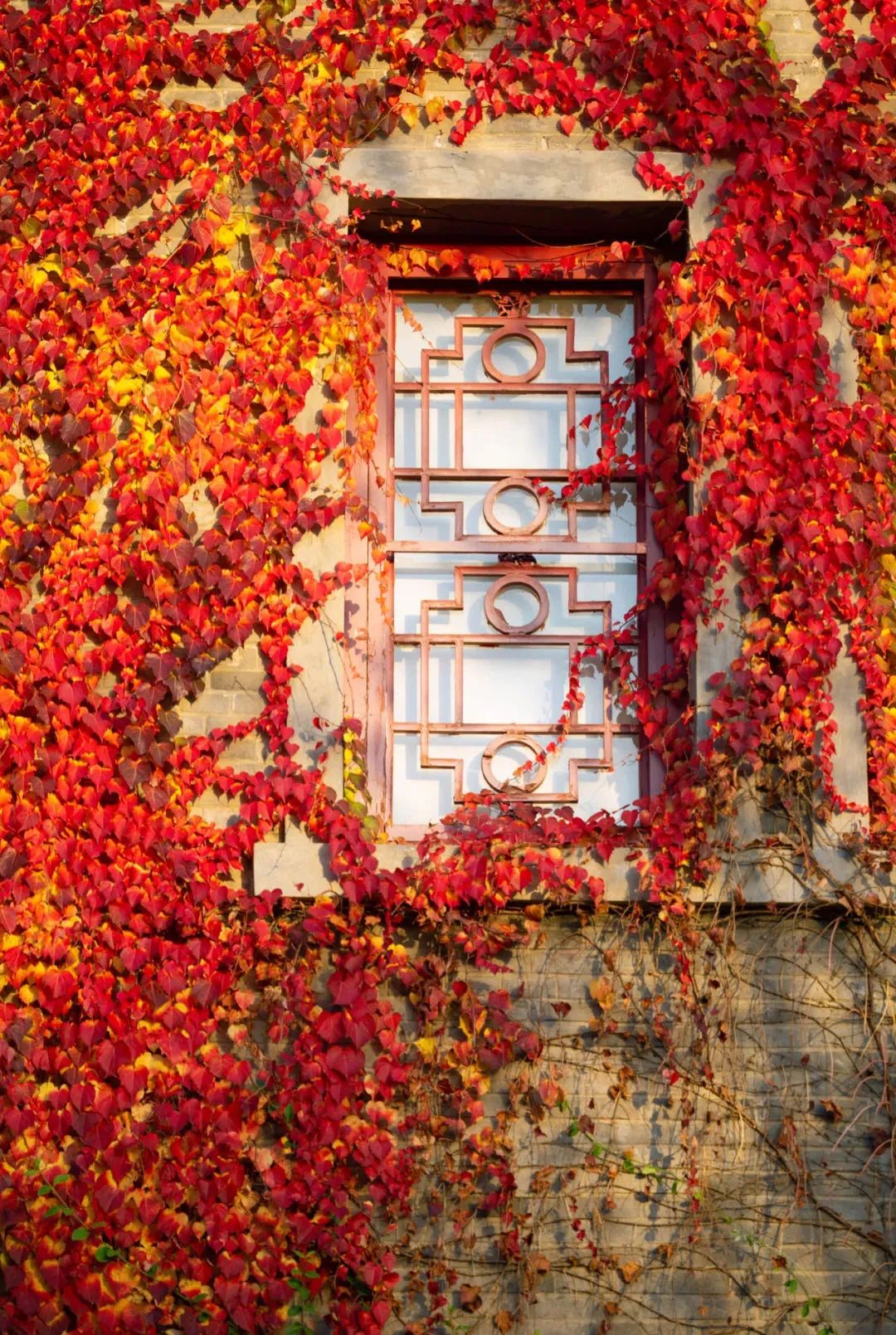 首页-NG视讯厅真人官方网站