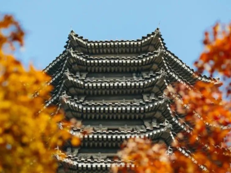 首页-NG视讯厅真人官方网站