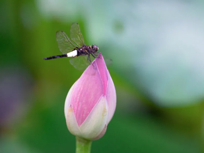 首页-NG视讯厅真人官方网站