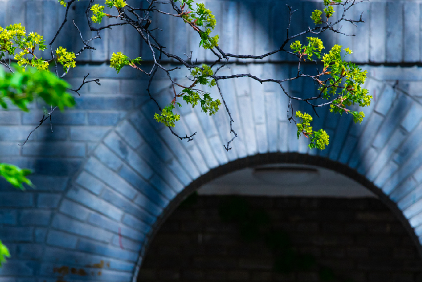 首页-NG视讯厅真人官方网站