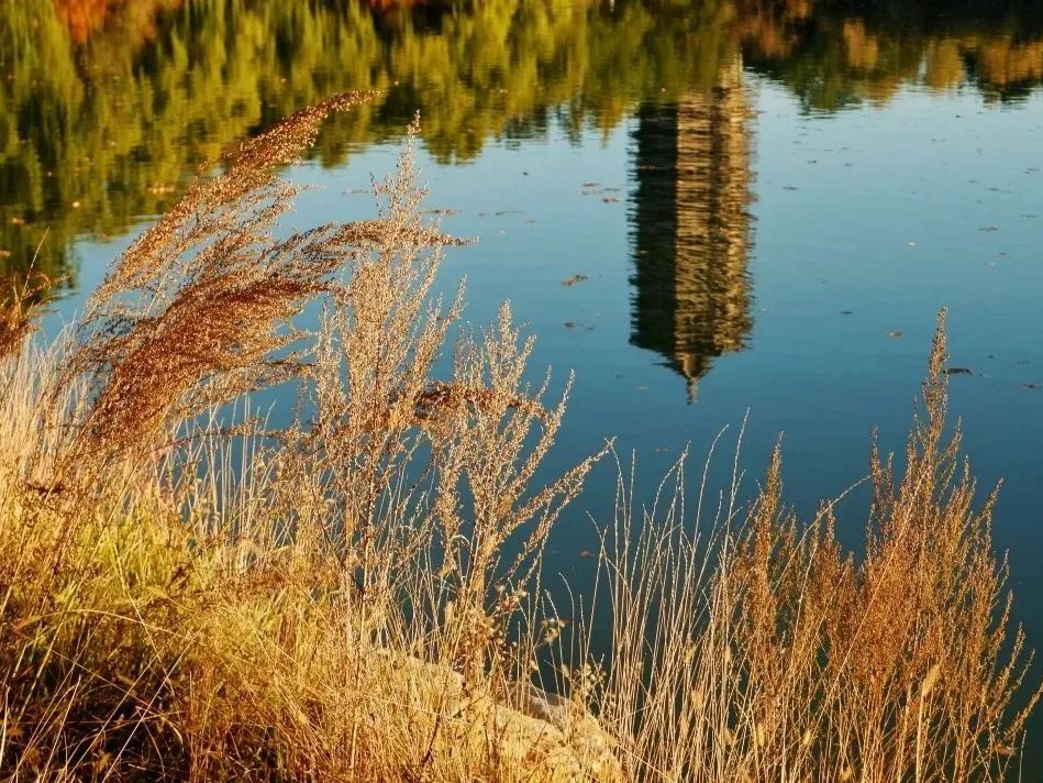 首页-NG视讯厅真人官方网站