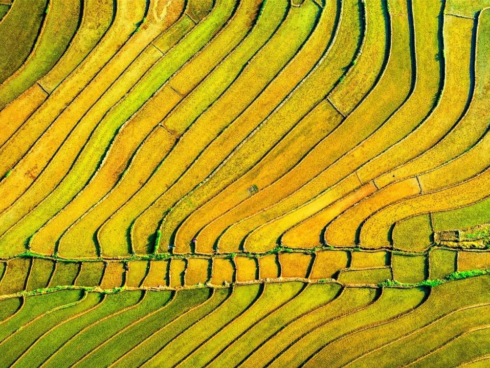 首页-NG视讯厅真人官方网站