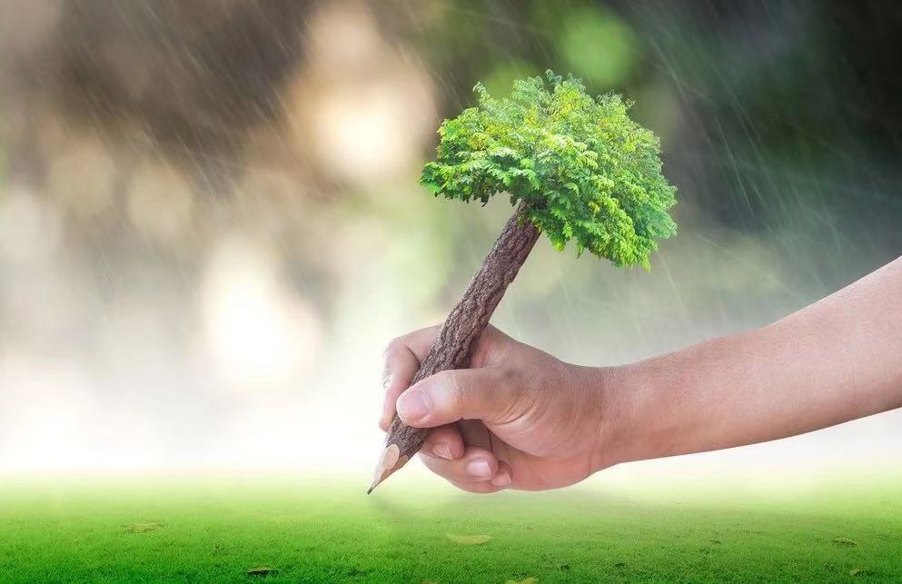 首页-NG视讯厅真人官方网站