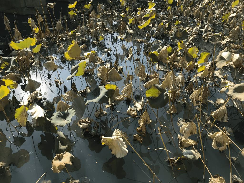 3CACDC7CC96B82A473BB0F9D536_A439A4FA_2FB80