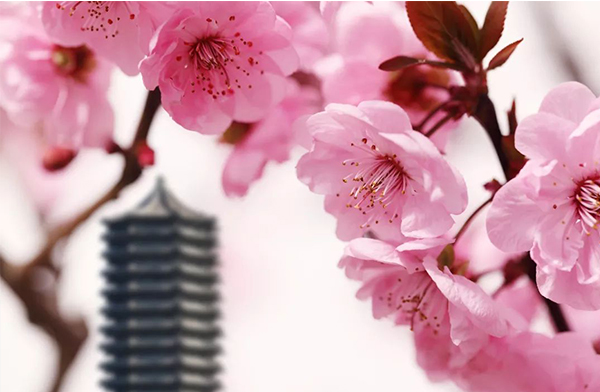 首页-NG视讯厅真人官方网站