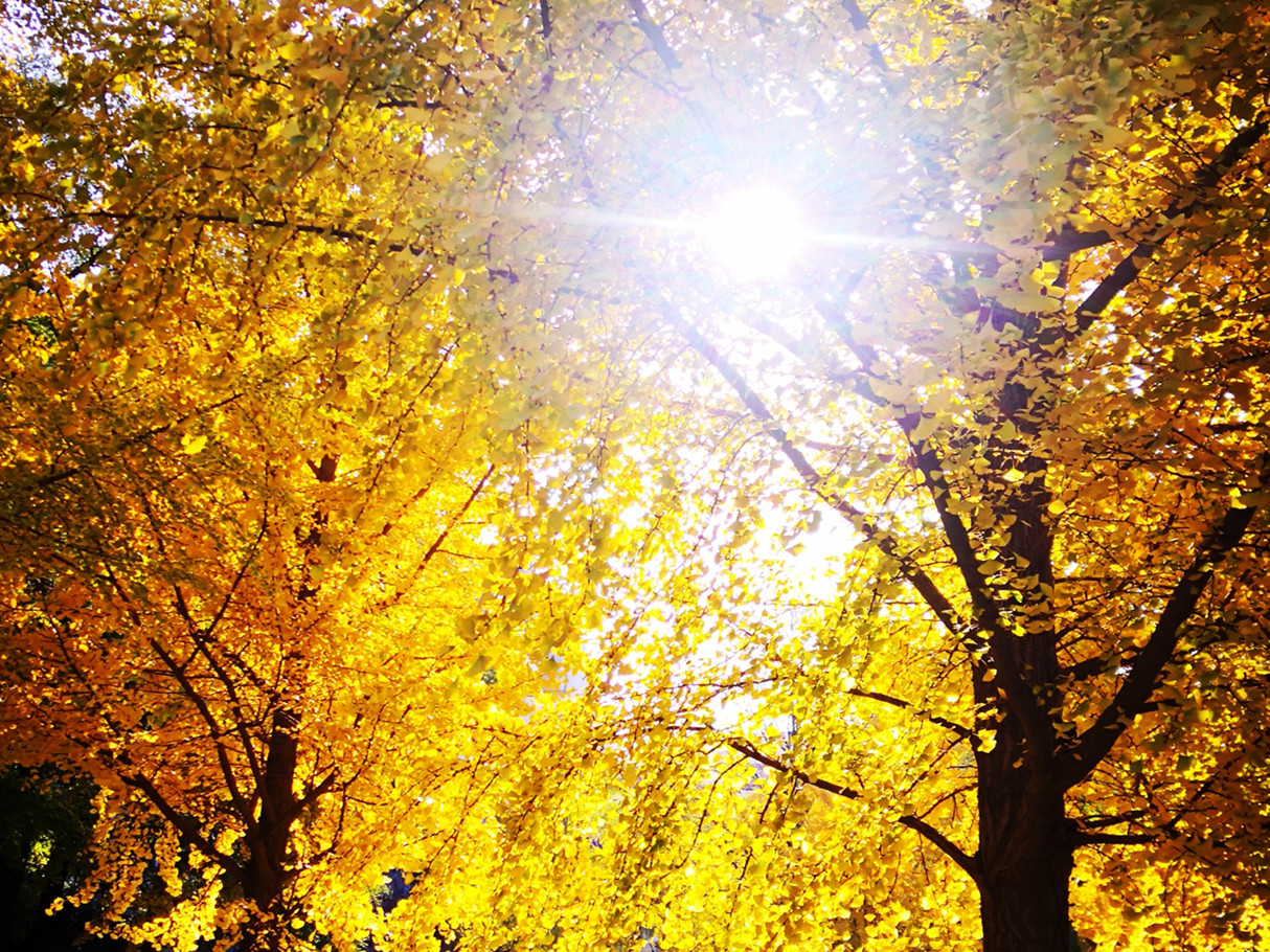  MPAcc分享会干货满满 | 尊沉经济内容，回归管帐初衷 