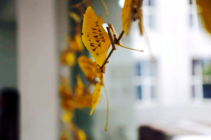 首页-NG视讯厅真人官方网站