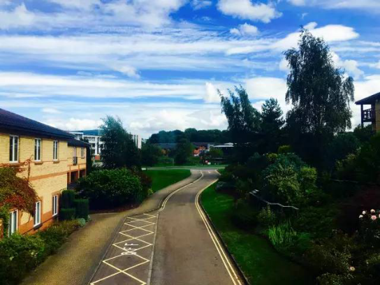 技术是建行，品牌是沉淀?