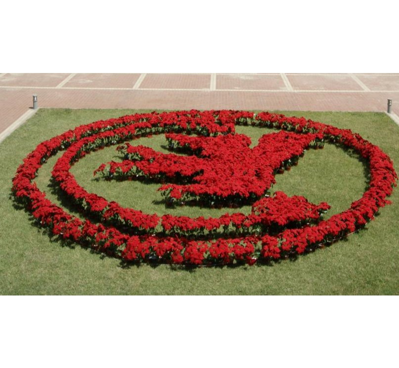 首页-NG视讯厅真人官方网站