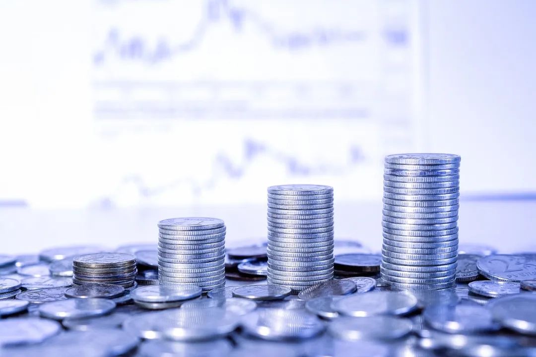 龚六堂：缩幼居民收入差距推动共同富足的若干政策建议