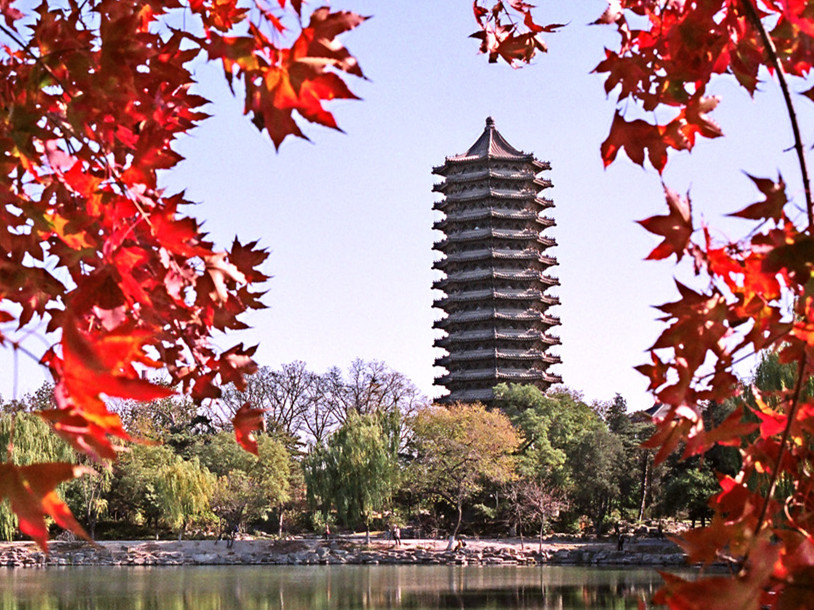  招生丨2020年北大NG视讯全日造管帐、审计硕士项目报名启动