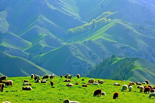 首页-NG视讯厅真人官方网站