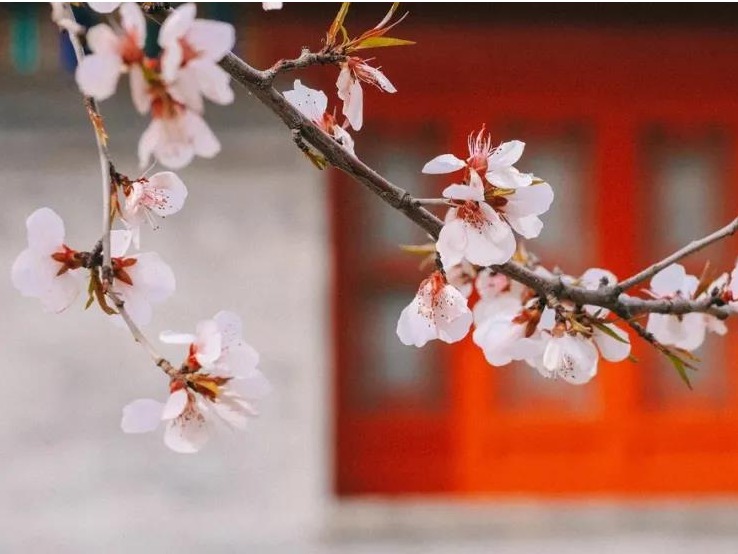 首页-NG视讯厅真人官方网站