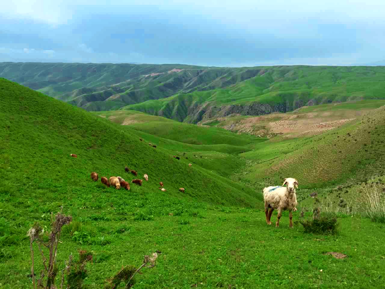 首页-NG视讯厅真人官方网站