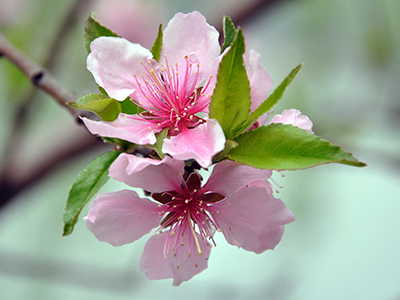 首页-NG视讯厅真人官方网站