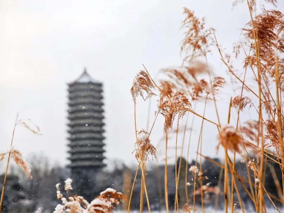 首页-NG视讯厅真人官方网站