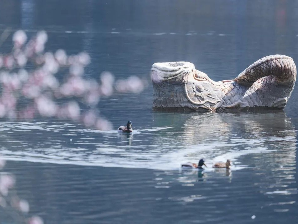 首页-NG视讯厅真人官方网站