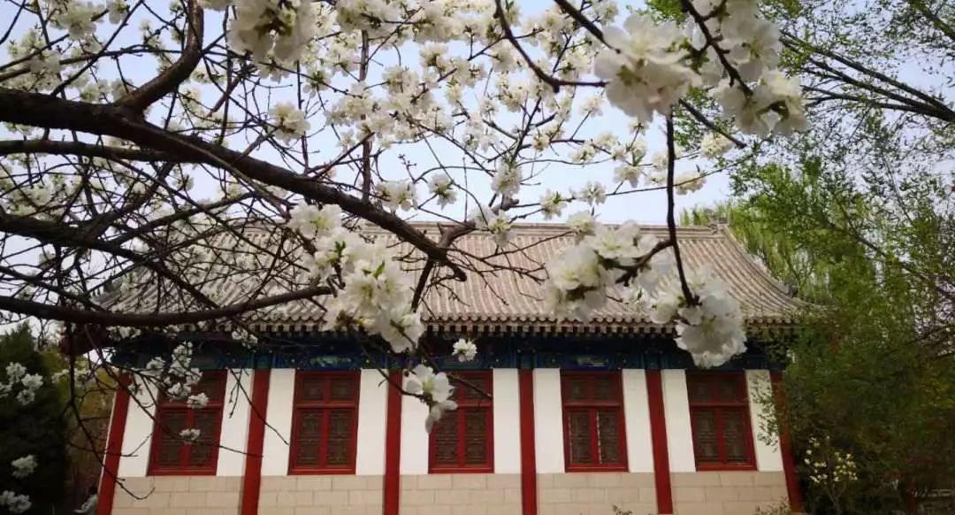 首页-NG视讯厅真人官方网站