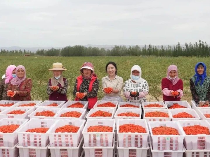 首页-NG视讯厅真人官方网站