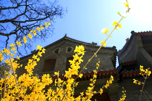 首页-NG视讯厅真人官方网站