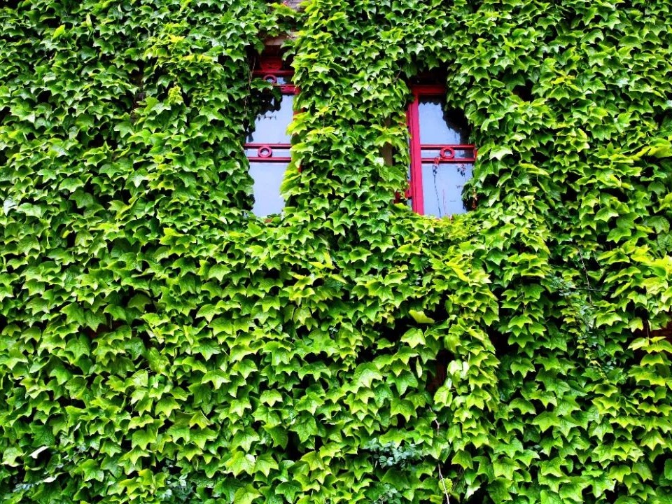 首页-NG视讯厅真人官方网站