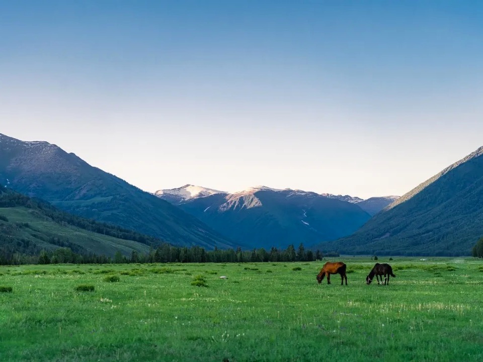 首页-NG视讯厅真人官方网站
