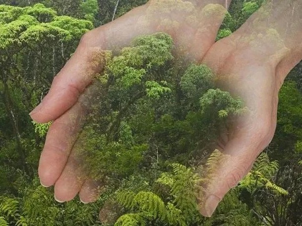 首页-NG视讯厅真人官方网站