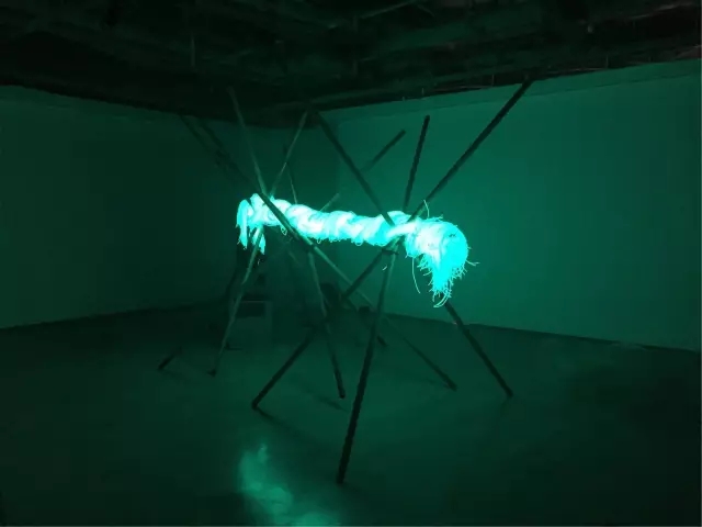 首页-NG视讯厅真人官方网站