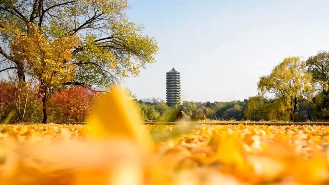 首页-NG视讯厅真人官方网站