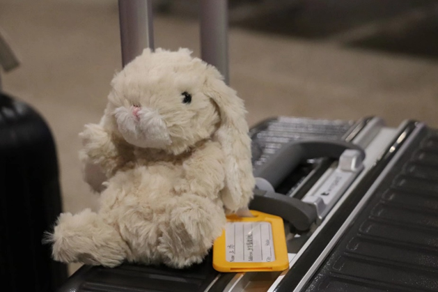 4A35C99142650390FA43803B0DB_5B0F403D_7695D